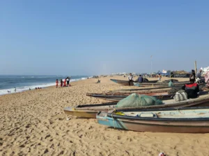 chandrabhaga beach
