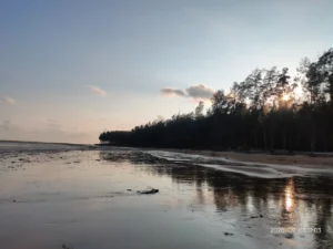 Chandipur beach