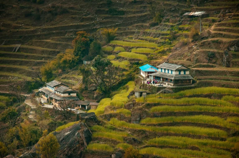 Kaziranga