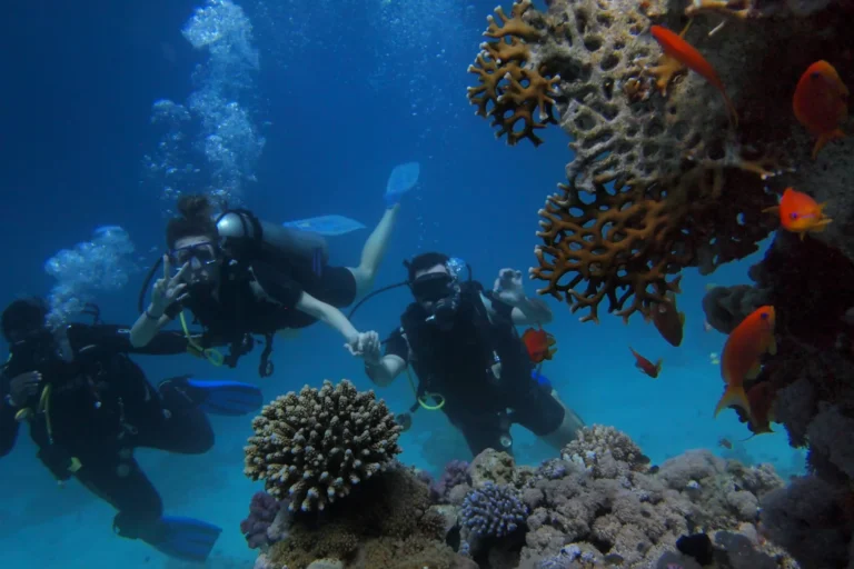 Scuba diving Goa
