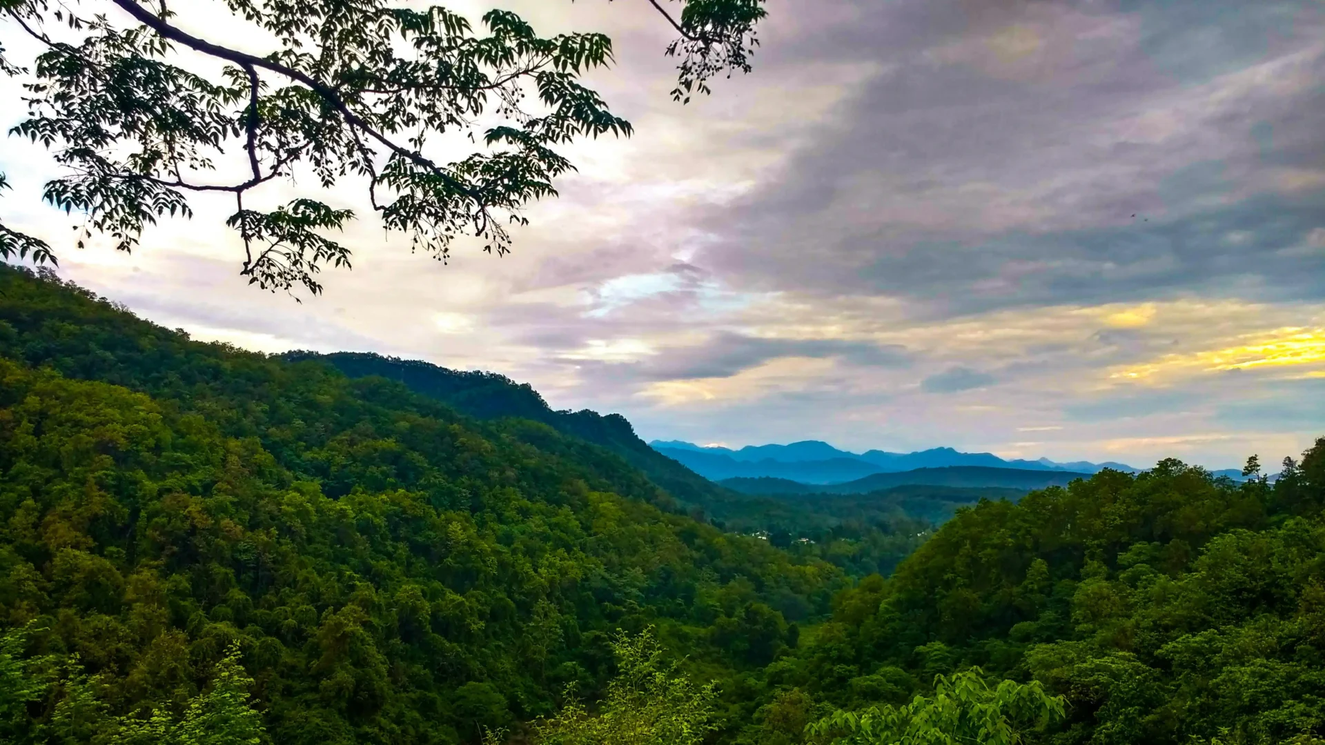 Budget Friendly Hill Station Trips in India: Affordable Gateway for Travelers