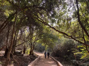 Deojhar waterfall view
