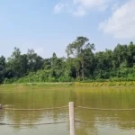 Sanaghagara Waterfall – The Best Picnic Spot in Keonjhar