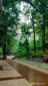 Picnic spot near pradhanpat