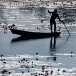 Mangalajodi Bird Sanctuary – The Heaven for Bird Watchers