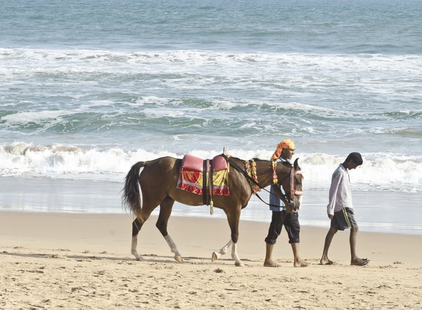 Puri beach horse ride
