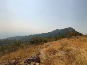 Patali srikhetra road