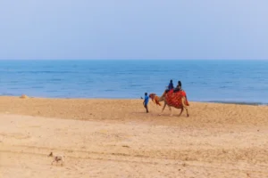 puri-odisha-india