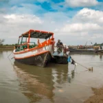 Bichitrapur Mangroove Forest