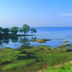 Khumkut- The Blue Heart of the Nilgiri Hills