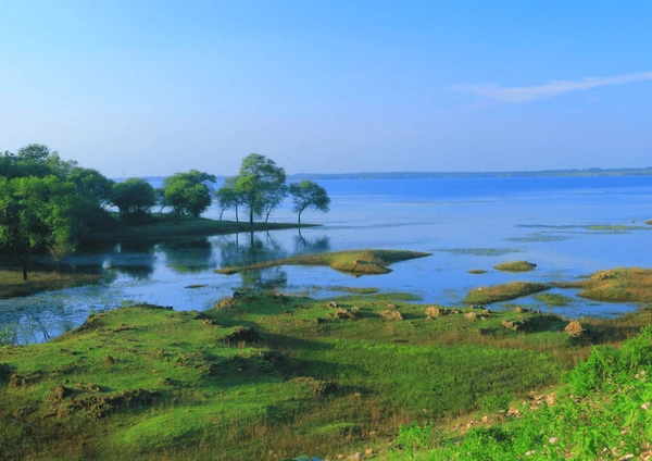 Khumkut- The Blue Heart of the Nilgiri Hills