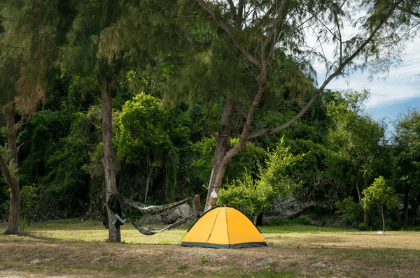 camping in odisha
