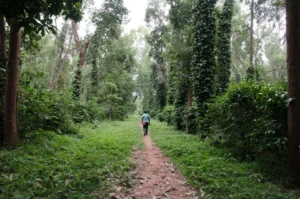odisha wildlife sanctuary