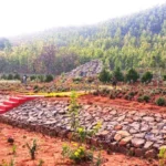 Butterfly Park, Daringbadi – Where Colors Meet Nature in Odisha