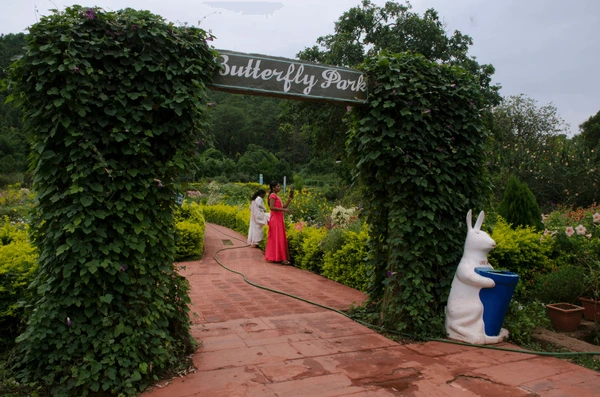 Butterfly park