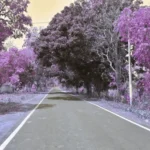 Daringbadi, The Land Where the Clouds Rest