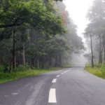 Kotagarh Wildlife Sanctuary in Kandhamal