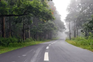 Kotagarh wildlife sanctuary