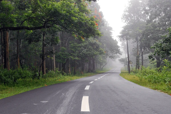 Kotagarh wildlife sanctuary