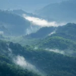 Belghar Nature Camp, Daringbadi