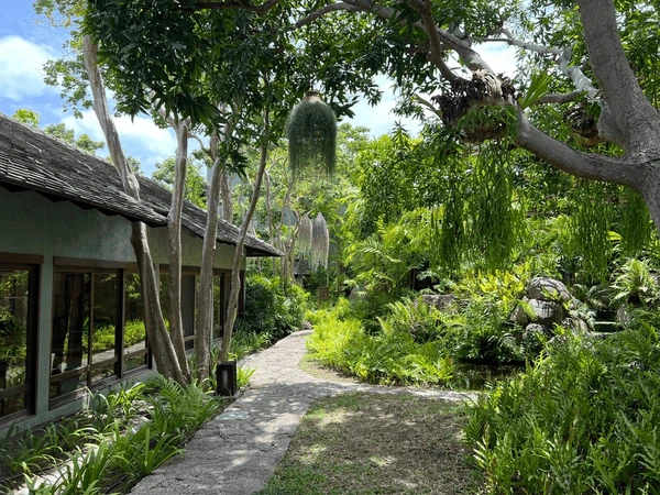 Padmatala Wildlife Sanctuary Kandhamal