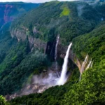 Aapkhol Waterfall: A Forest Secret and Hidden Basin
