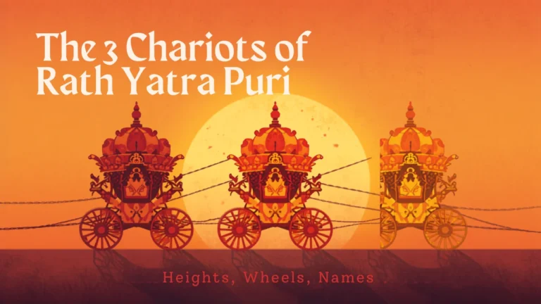 The 3 Chariots of Rath Yatra Puri: Heights