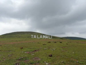 Talamali Symbol