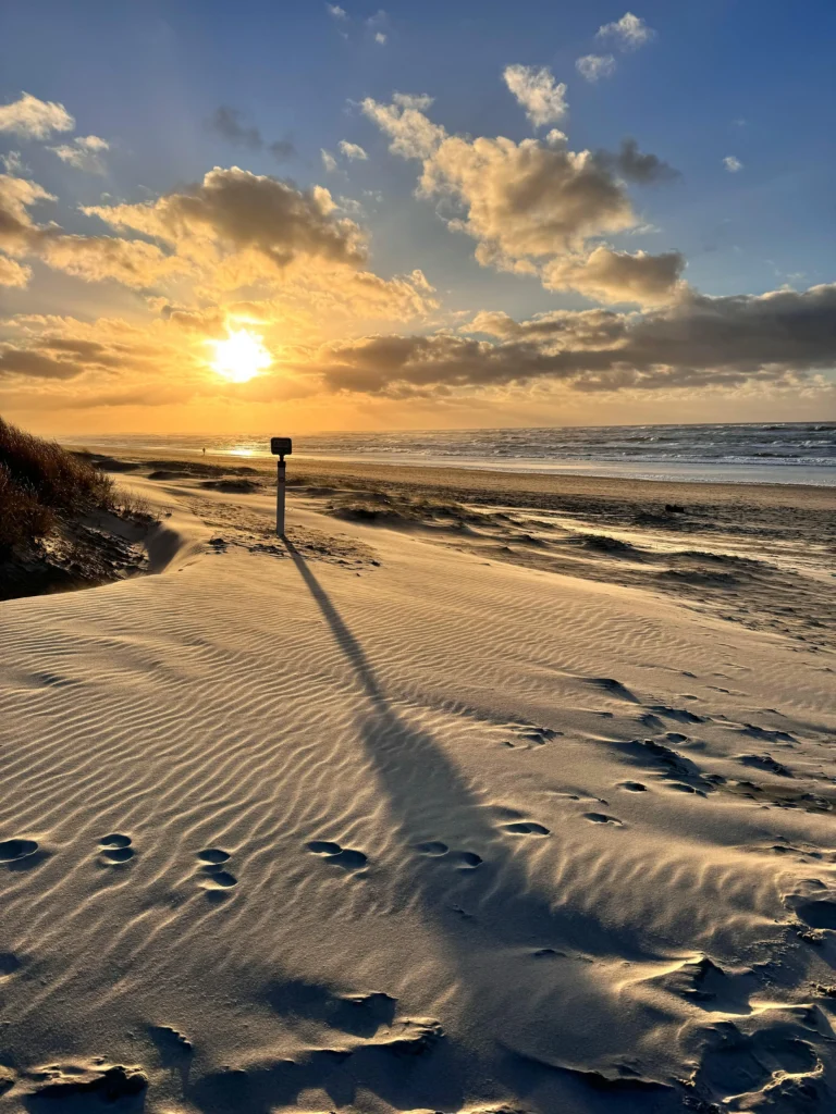 Golden Sunset at Chandrabhaga Beach, Odisha