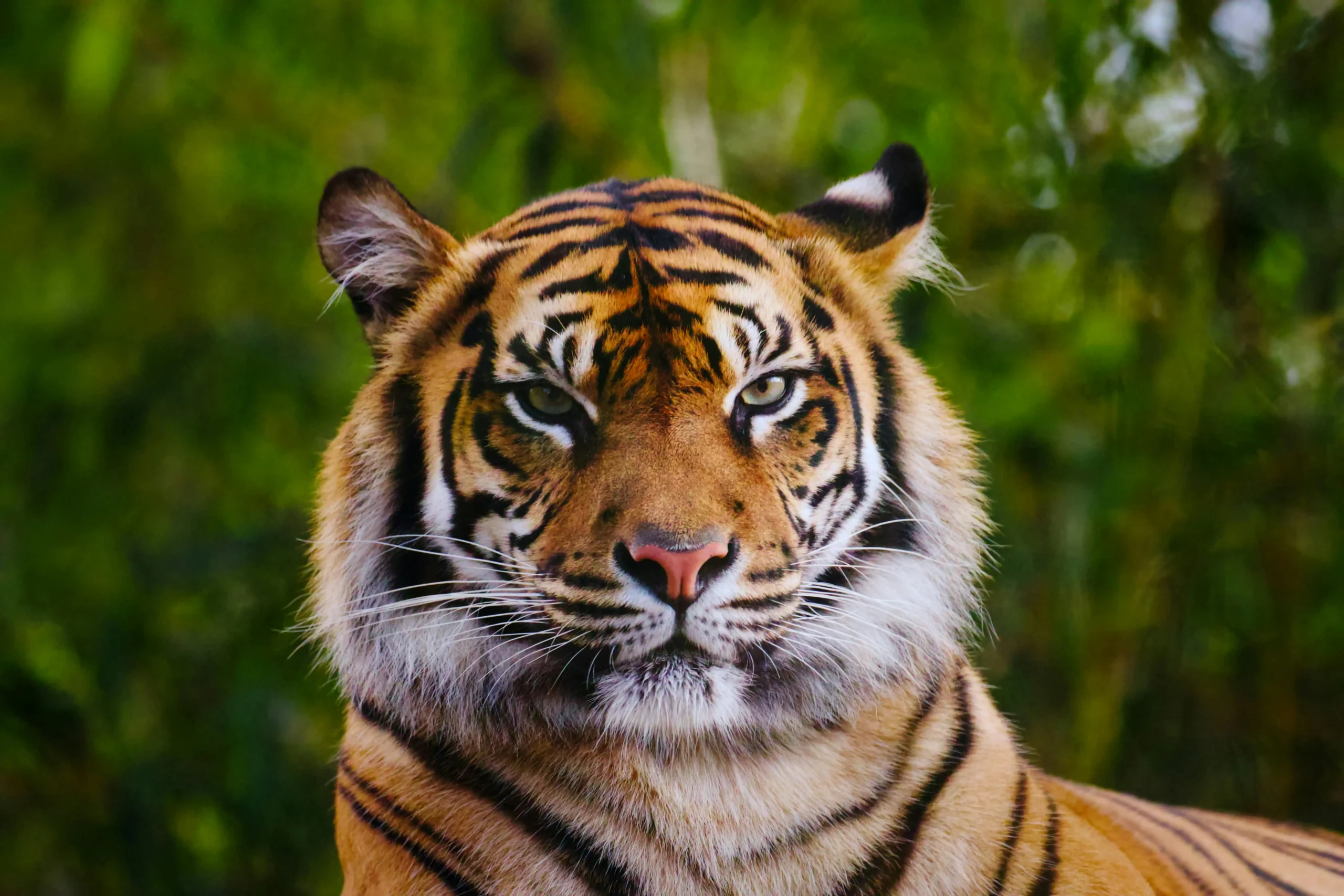 Similipal National Park: A heaven for Adventure seekers