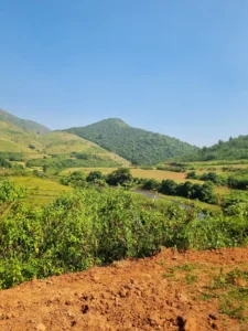 Araku Valley