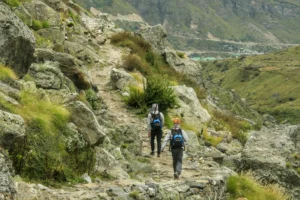 Char dham yatra visitors