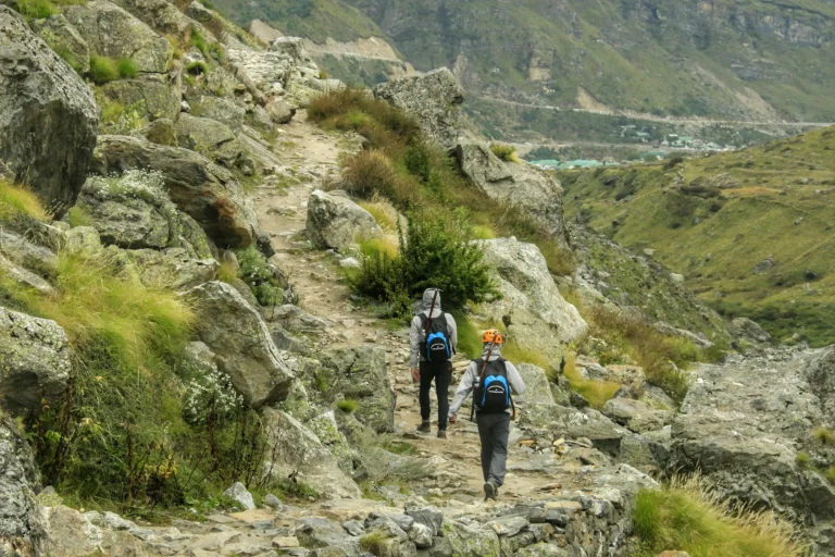 Char dham yatra visitors