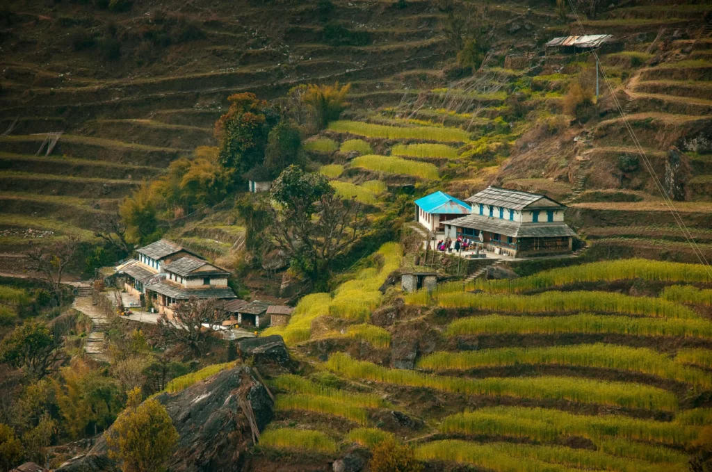 Kaziranga