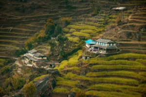 Kaziranga