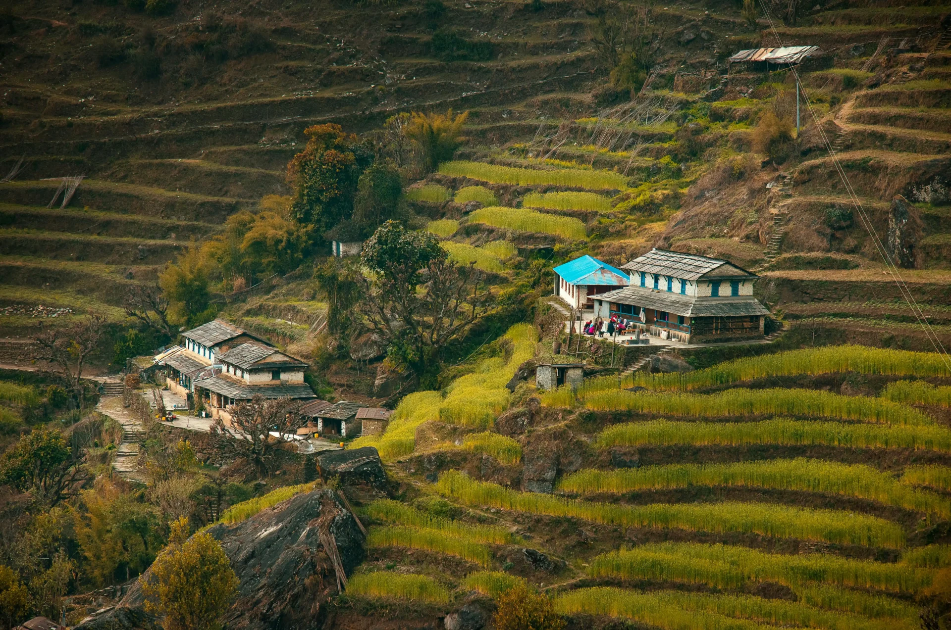 Best Resorts and Homestays Near Kaziranga for a Comfortable Stay
