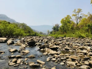 Lulung aranya nivas