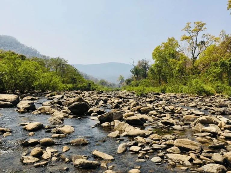 Lulung aranya nivas