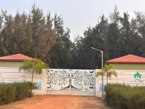 Mangrove eco stay Astaranga