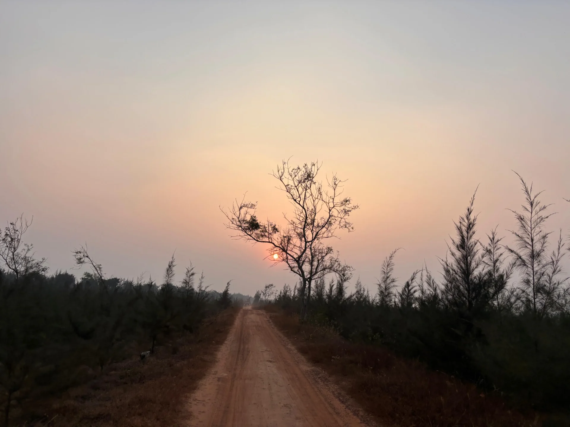 Sun set view