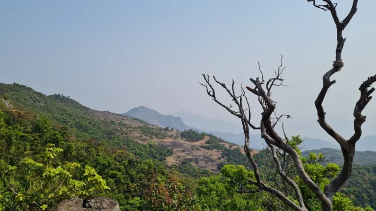 Mahendragiri Hill