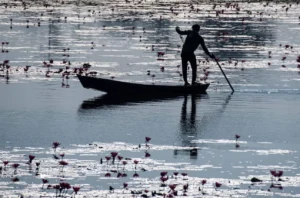 Mangaljodi bird sanctuary