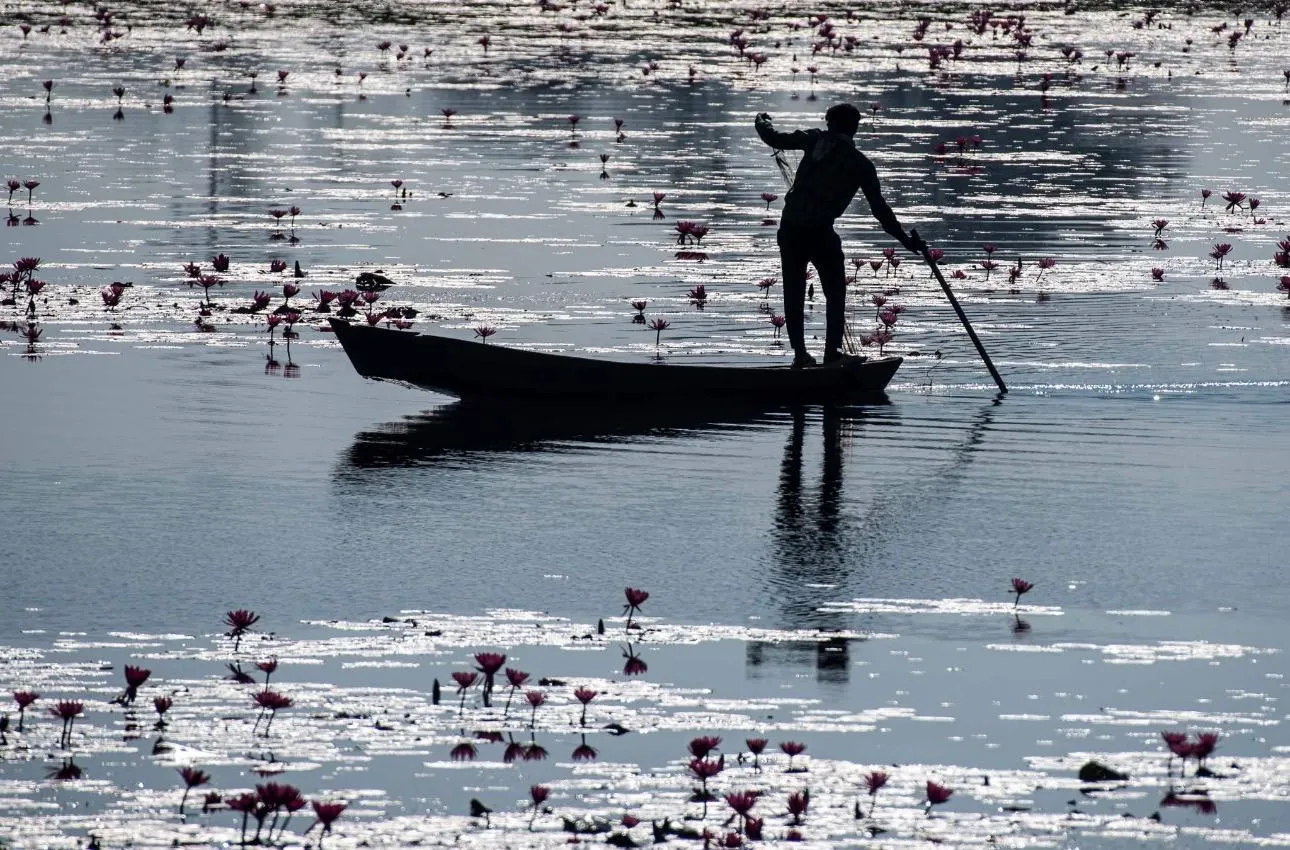 Mangalajodi Bird Sanctuary – The Heaven for Bird Watchers