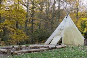 Forest camp