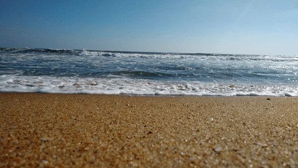 Pentha Sea Beach: The Untouched Coastal Secret of Kendrapara