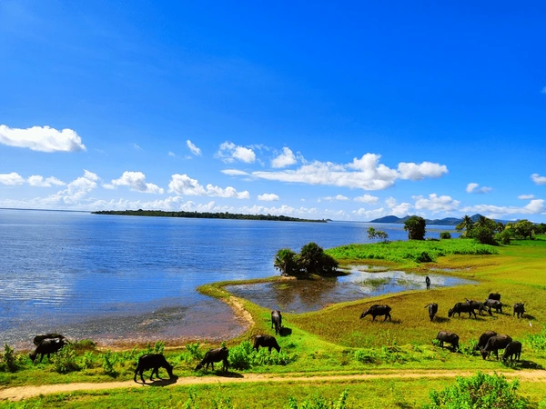 Sea mouth chilika