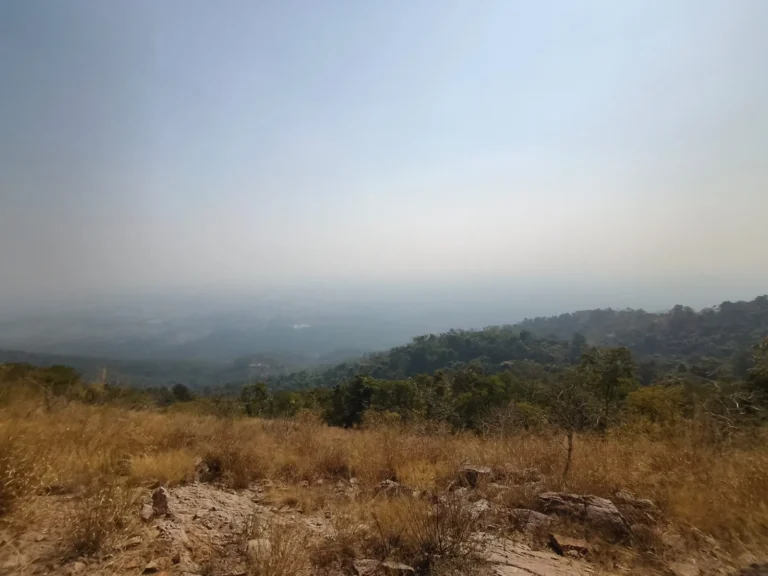 Patali srikhetra view point