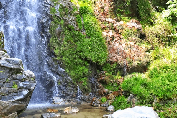 Malayagiri Hill Station Angul – A Quiet Retreat in Odisha