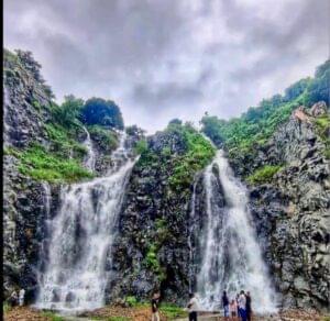 Sarisua