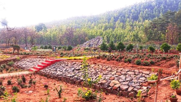 Butterfly Park, Daringbadi – Where Colors Meet Nature in Odisha